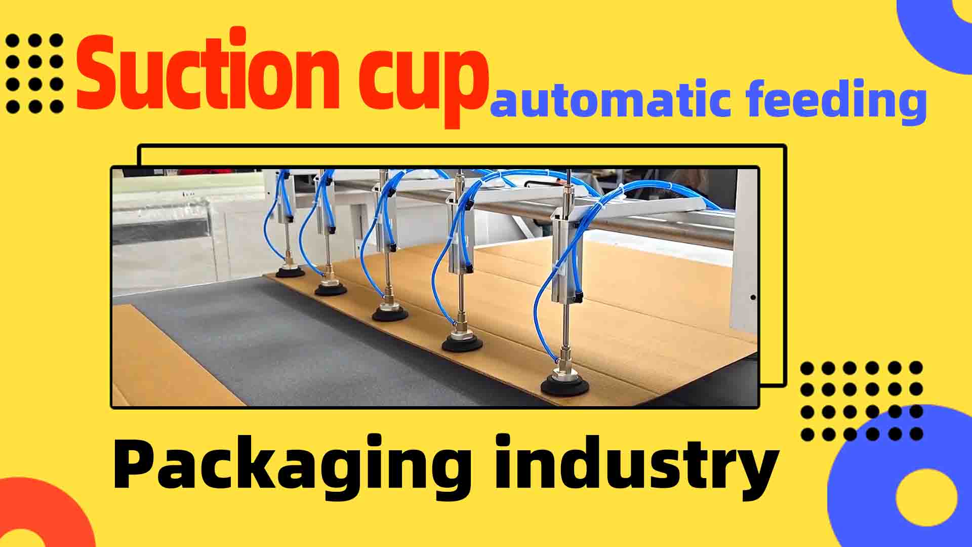 Case study of cutting with washing tray feeding Oscillating knife cutting machine
